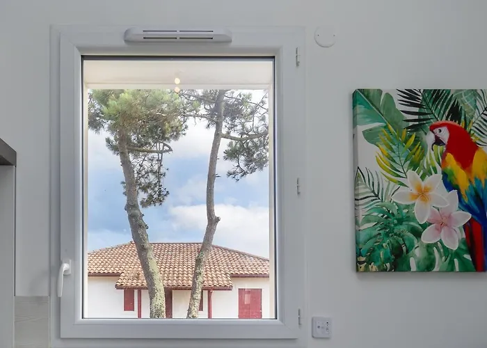 Ecrin De Sable * 布科·莱斯白老城